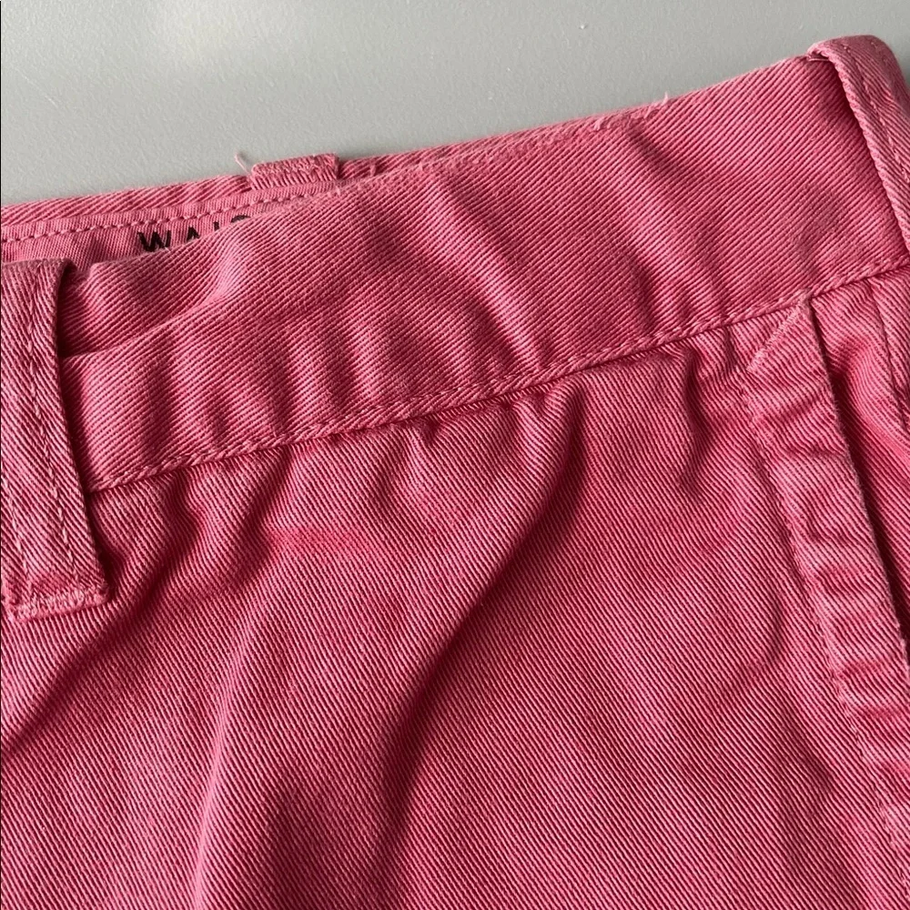 JCrew Stanton Flat Front Chino Short Pink Size 30